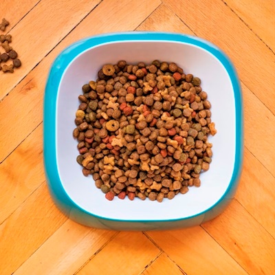 Kedi Mamaları